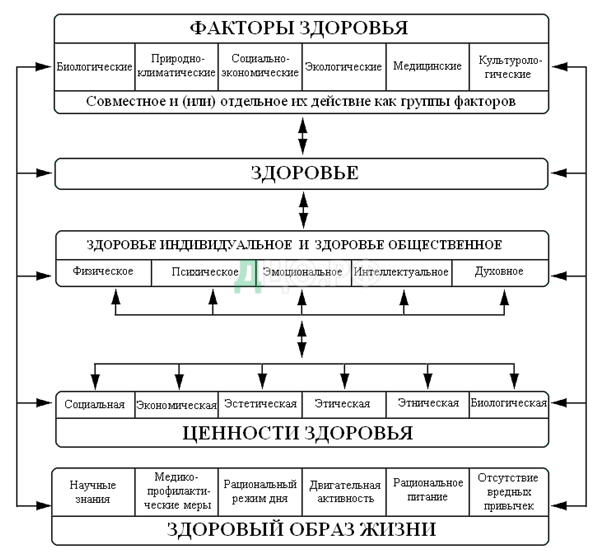 Курсовая Работа Здоровый Образ Жизни